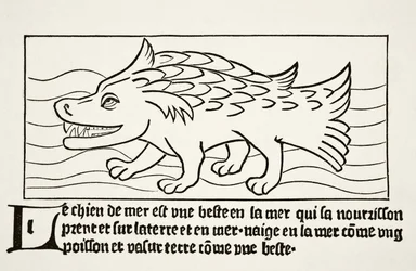Havhunden, fra "Vitenskap og litteratur i middelalderen" av Paul Lacroix (1806-84) utgitt London 1878